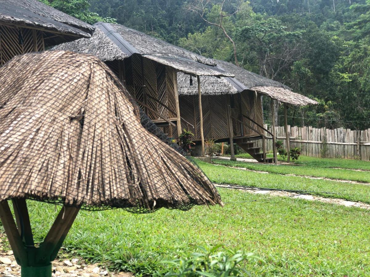 Backpacker'S Hill Resort San Vicente  Eksteriør billede